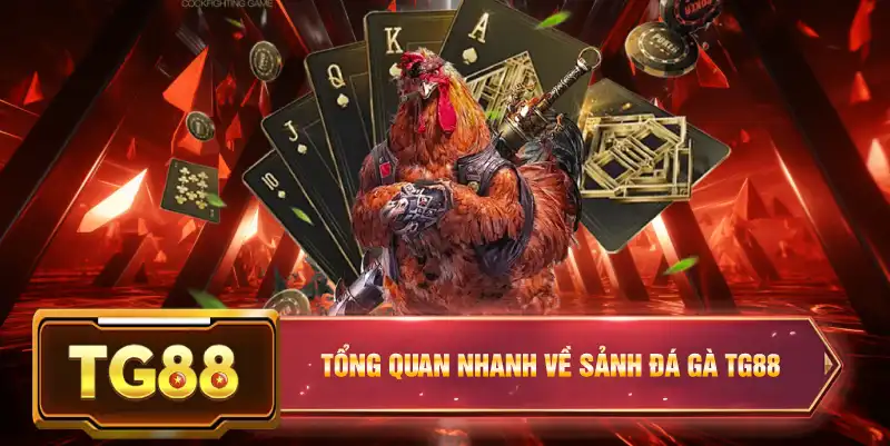 Tổng quan nhanh về sảnh đá gà TG88